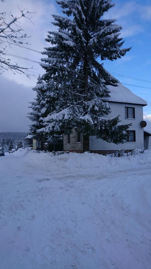 Haus Hasenmueller Apartman Schmiedefeld am Rennsteig Kültér fotó